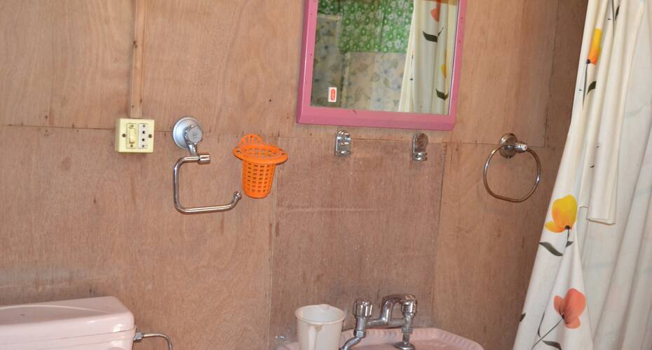 London Houseboat, Srinagar 4